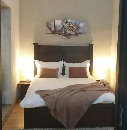 Hanu Lu Mos Opinca Guest house Deva