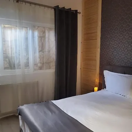 Guest house Hanu Lu Mos Opinca Deva