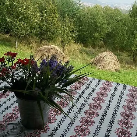 Penzion Hanu Lu Mos Opinca 3*