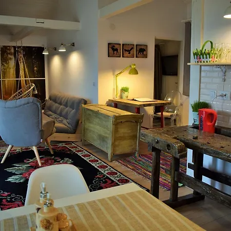 Hanu Lu Mos Opinca Guest house