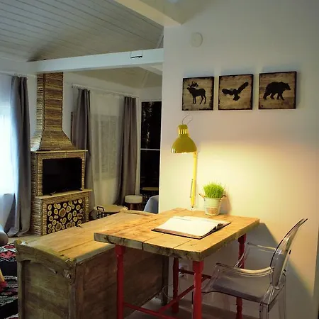 Guest house Hanu Lu Mos Opinca