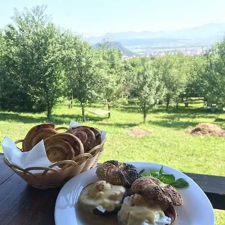 Konukevi Hanu Lu Mos Opinca Deva